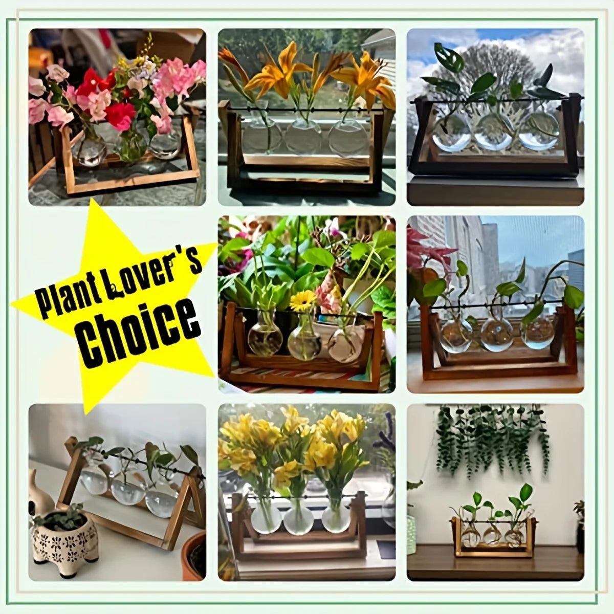 Plant Terrarium With Wooden Stand