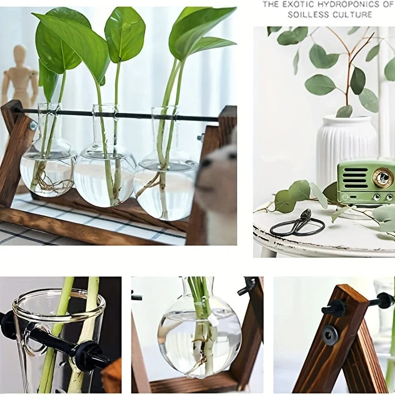 Plant Terrarium With Wooden Stand