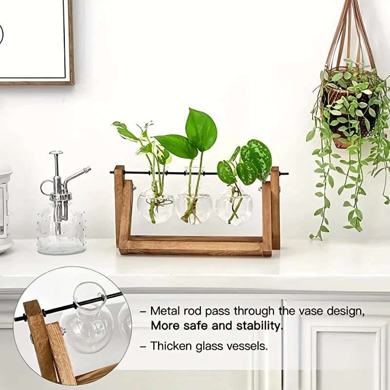 Plant Terrarium With Wooden Stand