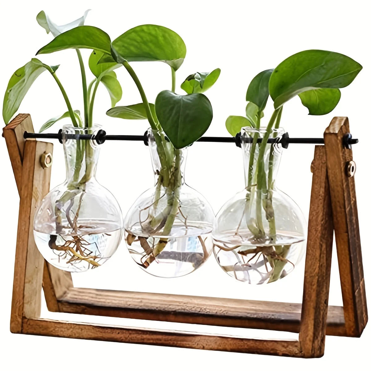 Plant Terrarium With Wooden Stand